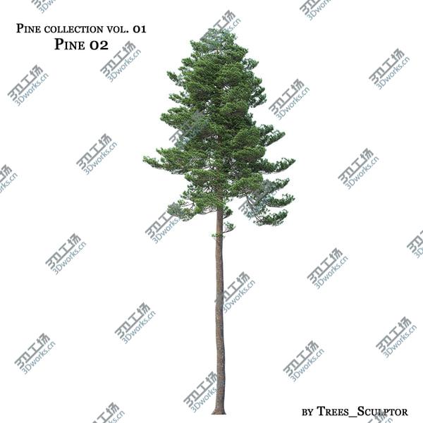 images/goods_img/20210312/Pine Collection Vol. 01/4.jpg